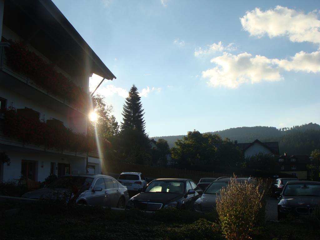 Hotel Drei Tannen Bodenmais Exterior foto