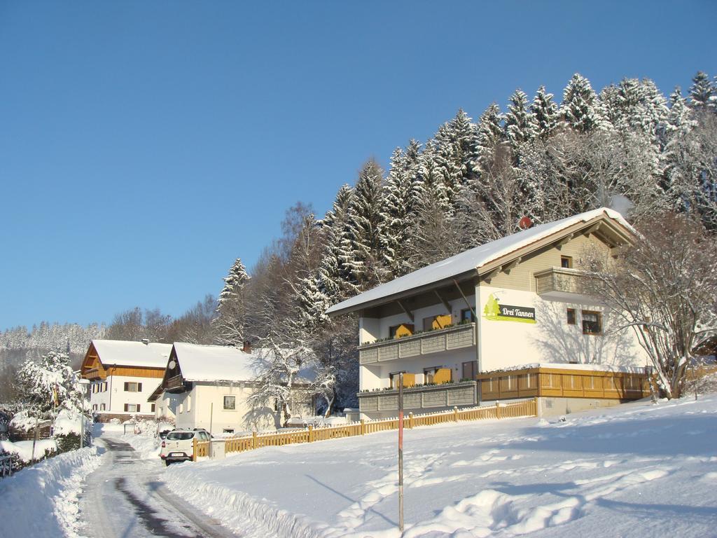Hotel Drei Tannen Bodenmais Exterior foto