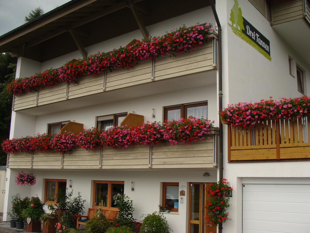 Hotel Drei Tannen Bodenmais Exterior foto